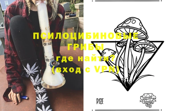 альфа пвп Армянск
