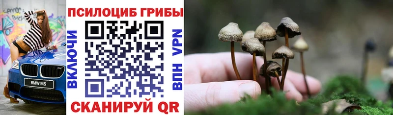 ссылка на мегу как войти  купить закладку  Беломорск  Псилоцибиновые грибы GOLDEN TEACHER 